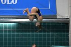 Diving vs USCGA  Wheaton College Swimming & Diving vs US Coast Guard Academy. - Photo By: KEITH NORDSTROM : Wheaton, Swimming, Diving